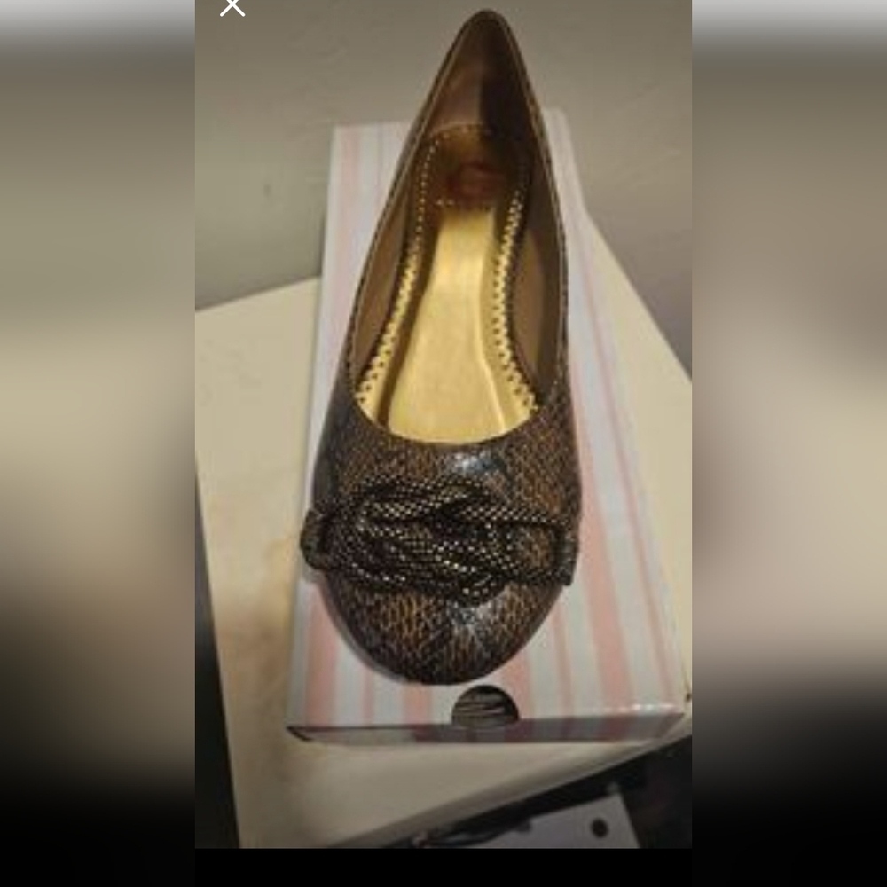Flat shoe